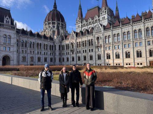 Tekintse meg galériánkat! (1/21)